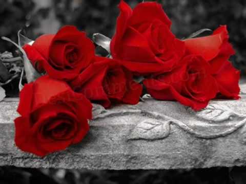 !!~ Yeh DoSti TeRe DaM Se Hai ~!!