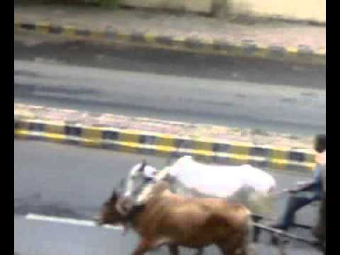 Dekh tere sansaar ki halat ho gai bhagwan