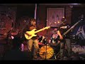 Wildbirds - Shannon Richardson Band