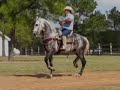 Baile caballo