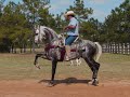 Baile caballo