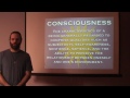 Mark Passio - Consciousness, Polarity & The Human Brain - WOEIH Part 1 of 4