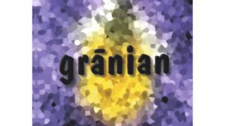 Watch Granian Foresight video