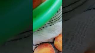 Perfectly Ripened Peaches