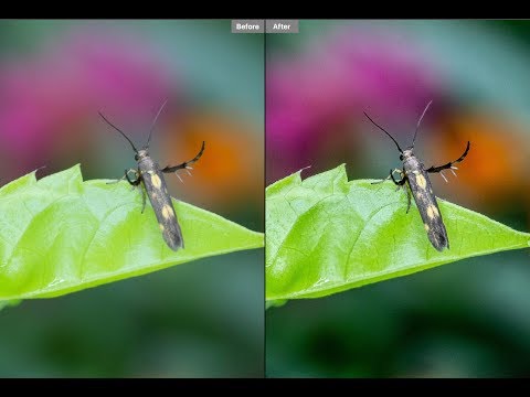 Preset tăng độ nét cho ảnh, giúp chỉnh ảnh màu trong trẻo và tươi hơn | aphoto