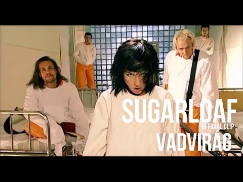Sugarloaf - Vadvirág (HQ) Official Video