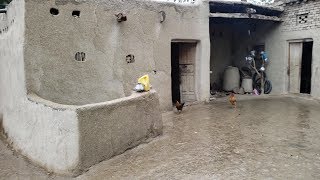 Happy Lifestyle In Punjab Village | Rural Life Of Pakistan