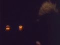 Black Light Burns 4 walls