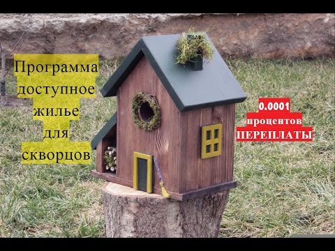 Как установить и обустроить пруд пластиковый садовый Как сделать сливки из молока. Выбор сепаратора