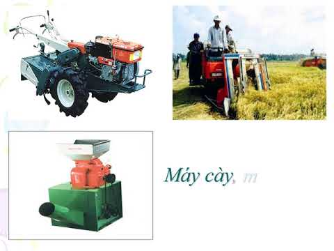 Bài giảng môn GDCD 8 - Bài 16 quyền sở hữu tài sản và nghĩa vụ tôn trọng tài sản của người khác