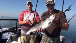 Lake Michigan's Bottom Loving Trout