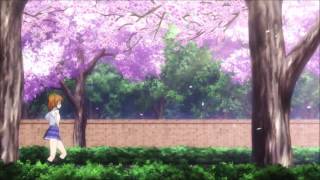 Anime ~ Shy Boy