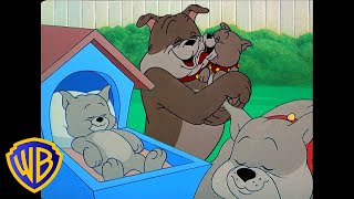 Tom & Jerry Em Português Brasil O Melhor Pai Do Mundo Dia Dos Pais