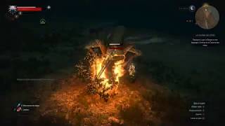 The Witcher 3 Arachas Cuiré