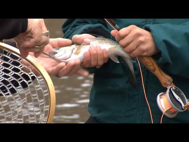 Watch Trout fishing in Oklahoma on YouTube.