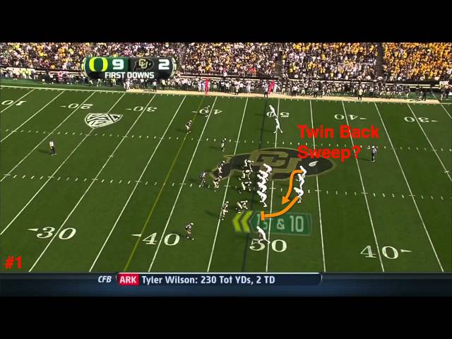 The Fish Report: Why is Chip Introducing More?