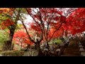 大山寺の紅葉