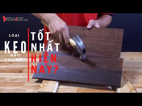 Loại keo nào dán gỗ tốt nhất hiện nay???