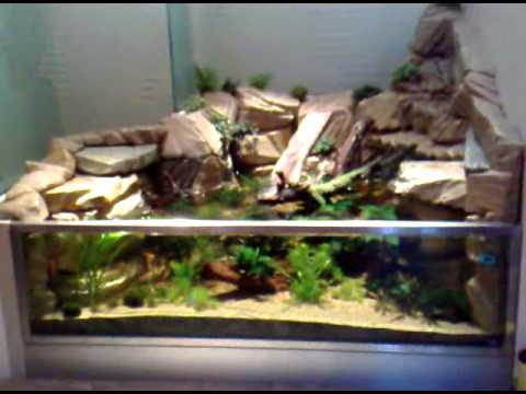 Film 2 aquarium décor AquaCascade cichlides Africain