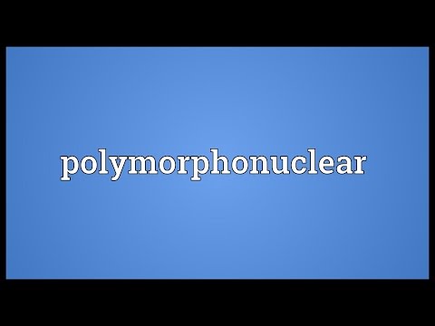 Header of polymorphonuclear