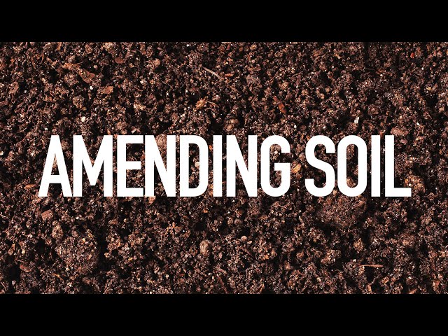 Watch Soil pH Adjustments on YouTube.