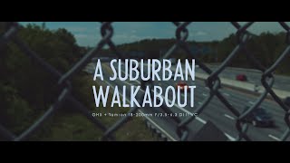A Suburban Walkabout Hd Gh5 Tamron 18-200Mm F3.5-6.3 Di Ii Vc Commlite Speedbooster Aef-Mft