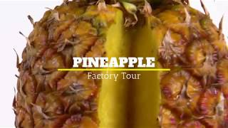 Pineapple Tour