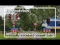 Spoorwegovergang Heiloo // Dutch Railroad Crossing