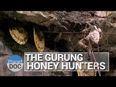 The Gurung Honey Hunters | Culture - Planet Doc Full Documentaries...