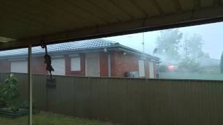 Watch Rain In Sheets video