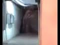 Fantasma Del Metro images Fantasma Del Metro