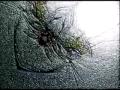Binaural Beats - Subliminal Journey (Best Ever, listen with headphone)