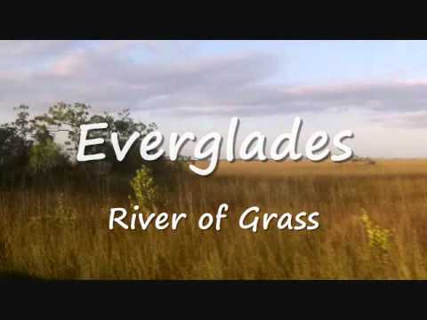 River of Grass.wmv Video River of Grass.wmv Video