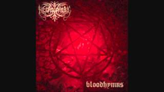 Watch Necrophobic Taste Of Black video