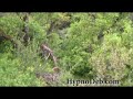 Ask your money angel - wealth attraction - youtube