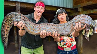 Play this video Giant Slimy Eel!! Insane Indonesian Food of the Bugis Tribe!!
