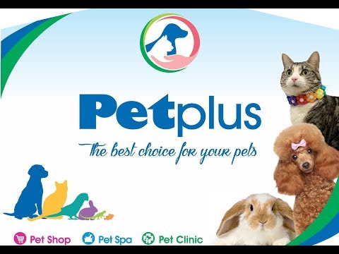 Trung Tâm Dịch Vụ, Siêu Thị Thú Cưng PetPlus Cần Thơ