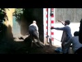 Qurbani Of Beil A Dangerous Bull images Qurbani Of Beil A Dangerous Bull