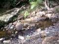 Monday Mt Mee 021 Video