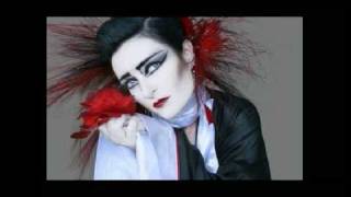 Watch Siouxsie The Banshees Take Me Back video