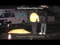 FATAL PEDESTRIAN HIT N RUN