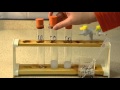 Gas Tests: The Tests for Carbon Dioxide, Oxygen and Hydrogen