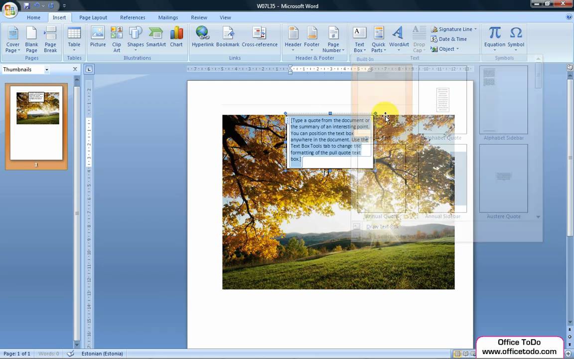 how to insert text field in word 2010