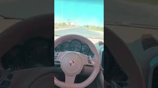 Porsche Snap