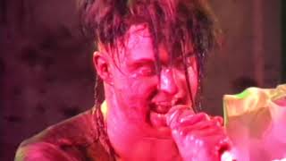 Watch Skinny Puppy One Time One Place video