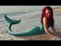 7 Real Life Mermaid Sightings From History
