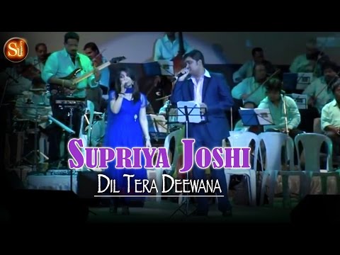 Dil Tera Deewana hai sanam