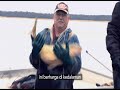 Bottom Feeders on Outdoor Channel (ch 266)