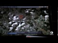 Search For Sophie Parker Porwana W Poszukiwaniu Sophie Parker Search For Sophie Parker Porwana W Poszukiwaniu Sophie Parker