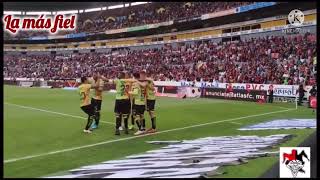 tzbkVgKQnJs Video Image